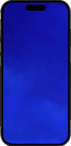 The Royal poker app on smartphone showing wins